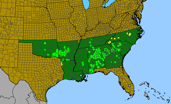 The range of Tradescantia hirsuticaulis